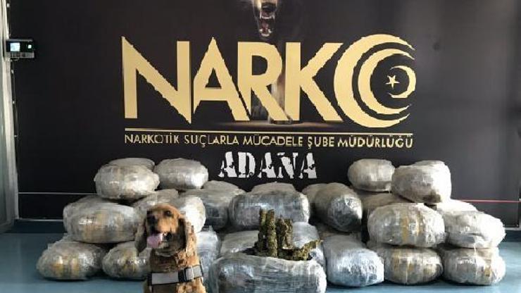 TIRda 250 kilo esrar ele geçirildi, sürücü tutuklandı