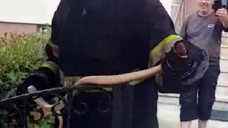 Kırklarelide parmaklıklara sıkışan yılanı itfaiye kurtardı