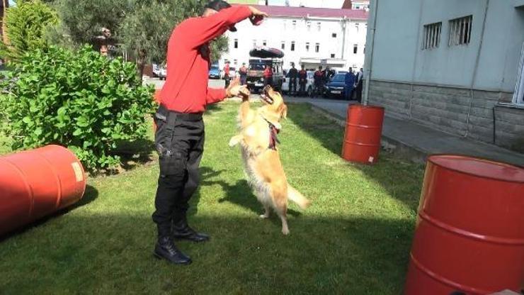 JAK timinin dedektör köpekleri iş başında