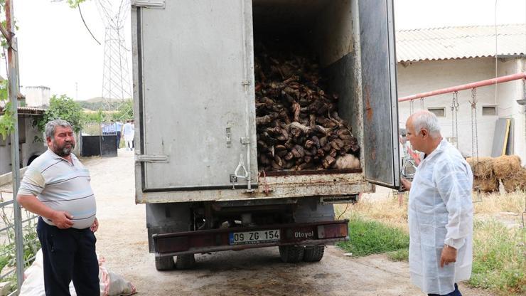 Kaçak sakatat işlenen kesimhane mühürlendi