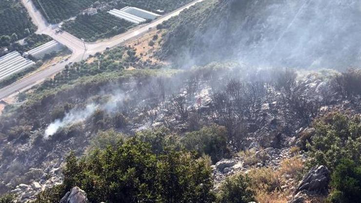 Finikede ormanlık alanda yangın