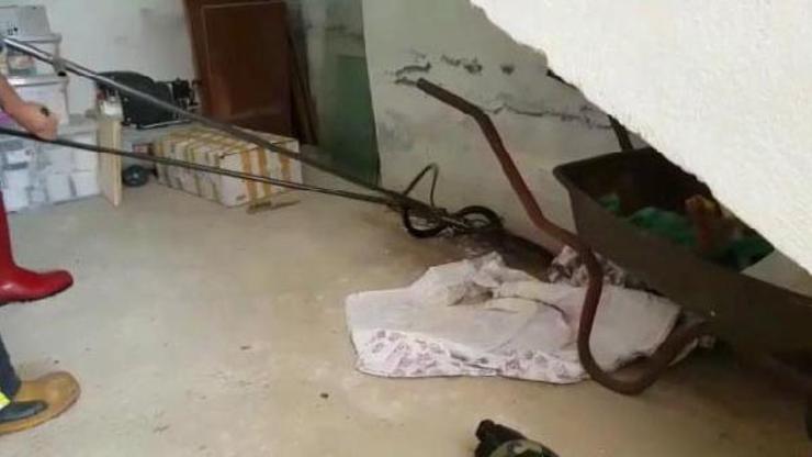 Depoya giren yılanı itfaiye yakaladı