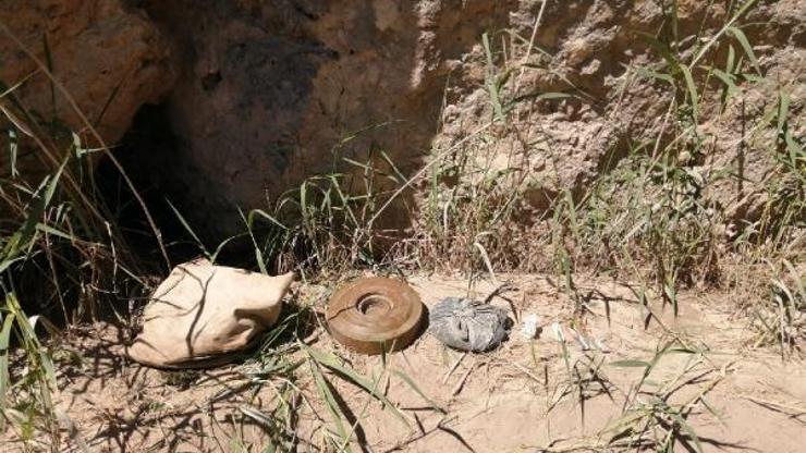 Siirtte PKK mayını imha edildi