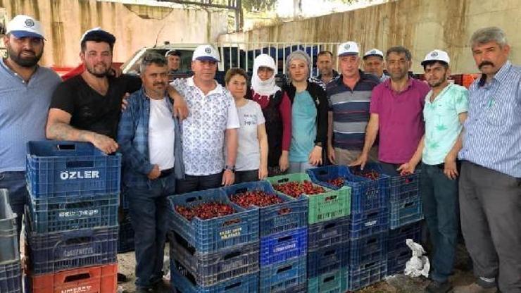 Salihli kirazı, fiyatıyla üreticiyi sevindirdi