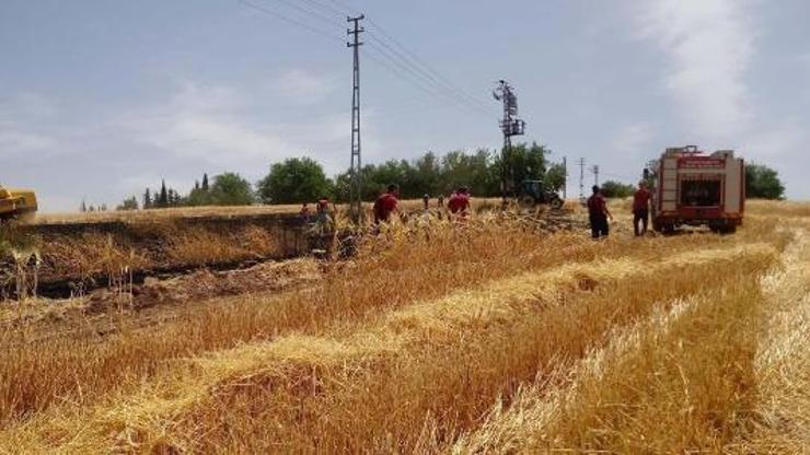 Adıyamanda arpa ekili tarlada yangın
