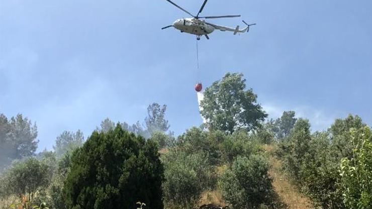 Aksekide orman ve tarım arazisinde yangın