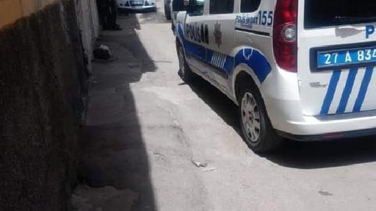 Evinde Hint keneviri yetiştiren şüpheli gözaltına alındı