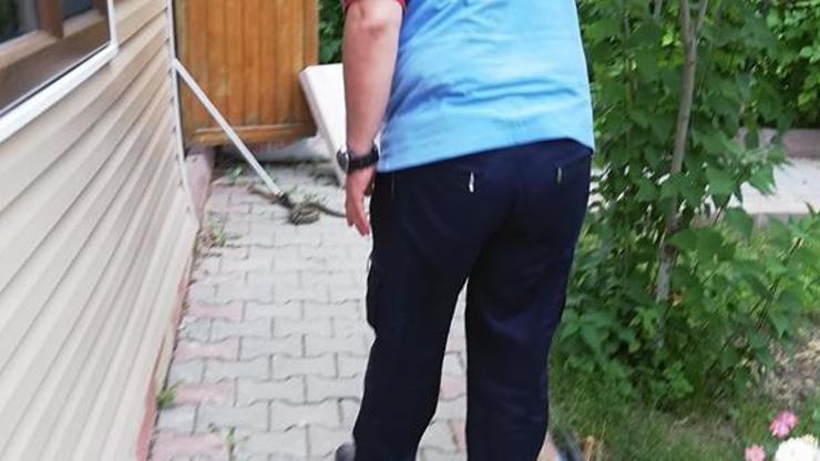Ankarada yılan paniği