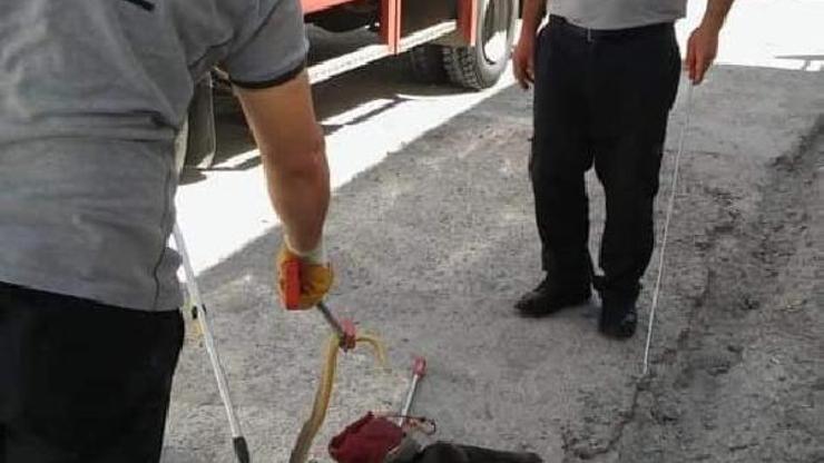 Kayseri itfaiyesinden yılan avı