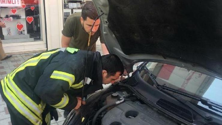 Otomobilin altına giren kediyi itfaiye çıkardı