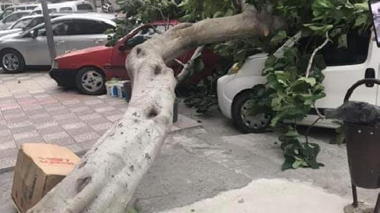 Amasyada kuvvetli rüzgar çatıları uçurdu