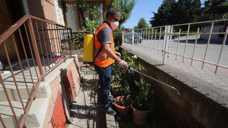 Yenimahallede ilaçlama çalışmaları sürüyor