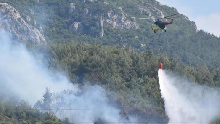 Bornovada ormanlık alanda iki ayrı bölgede yangın