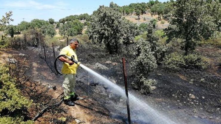 Çanakkalede, 6 dönüm makilik yandı