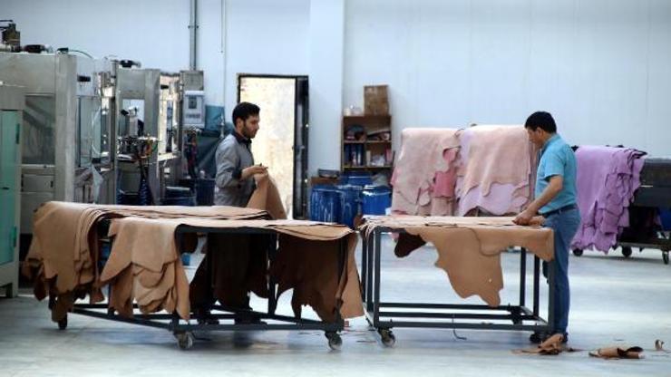 Geredede deri fabrikaları artıyor