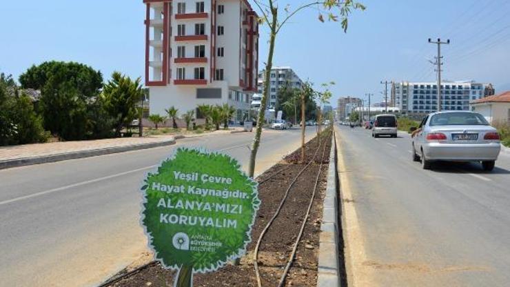 Alanya Gazipaşa Caddesi güzelleşti