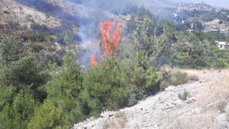 Hatayda bahçe temizliği sırasında yangın