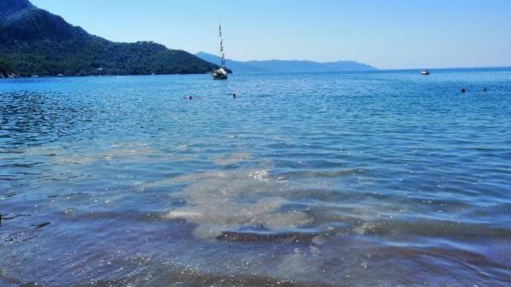 Dünyaca ünlü koya sintine atığı boşaltıldı iddiası