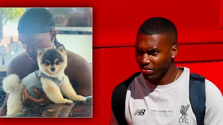 Daniel Sturridge: Köpeğimi geri istiyorum