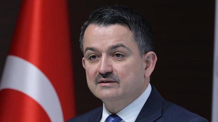 Bakanlık yaban hayvanlarının yaralarını sarıyor