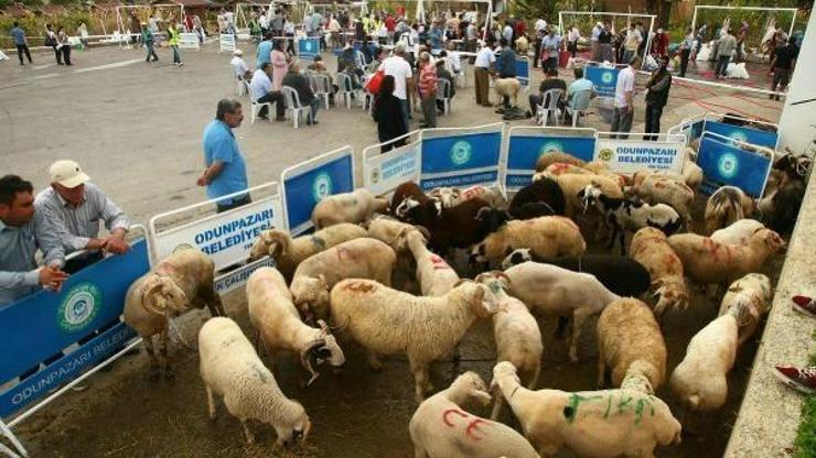 Kurban kesim noktalarında ücretsiz hizmet