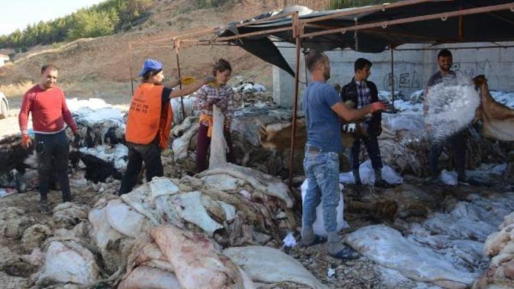 THK kurban hazırlıklarını tamamladı