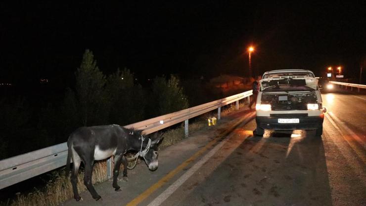 Başıboş eşek kazaya neden oldu: Çok sayıda yaralı var