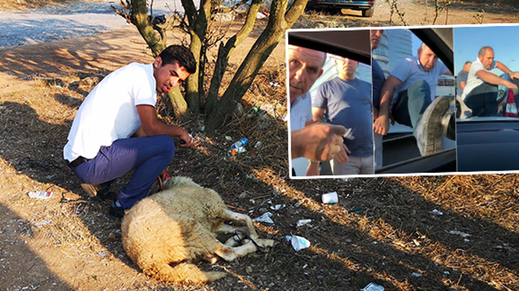 Yakınları serbest kalan Sel kardeşler için kurban kesti