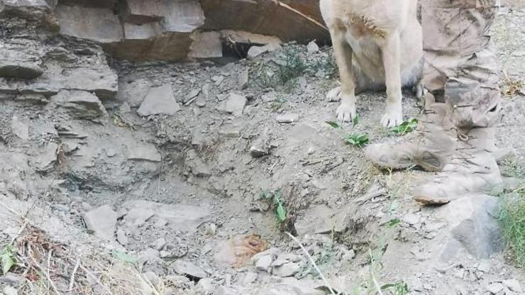 Başkalede, PKK sığınağı ve EYP imha edildi