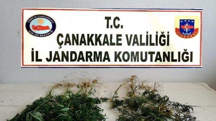 Çanakkale’de uyuşturucu operasyonu: 1 gözaltı