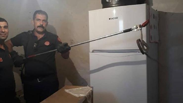 Eve giren yılanı itfaiye çıkardı