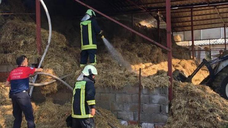 Alevler 3 bin saman balyasını küle çevirdi
