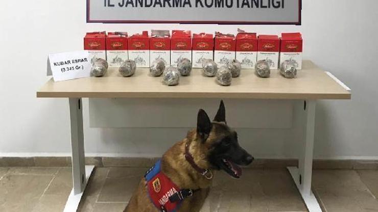 Sivasta 3 kilo 470 gram esrar ele geçirildi