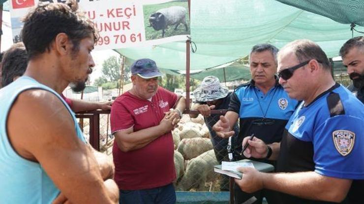 Hayvan pazarında sahte para uyarısı