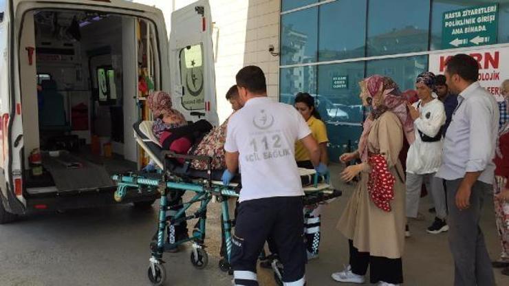 Armut ağacından düşen kadın yaralandı