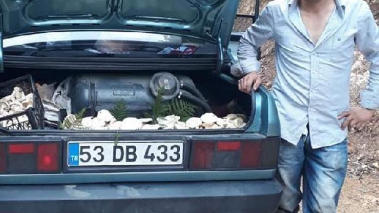 Kızını kaçırıp evlenen damadını öldürdü