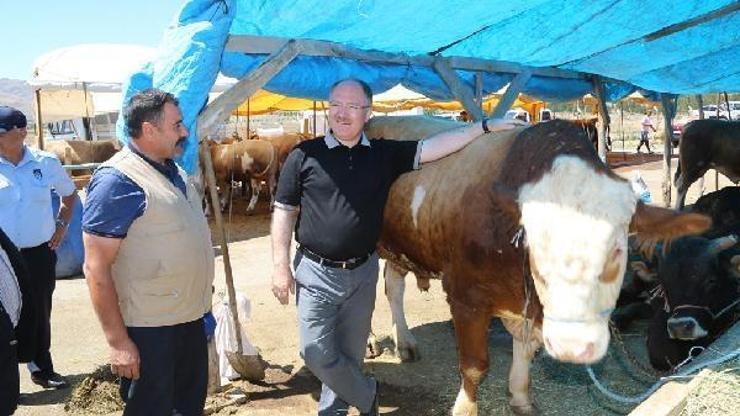 Başkan Bilginden kurban pazarına ziyaret