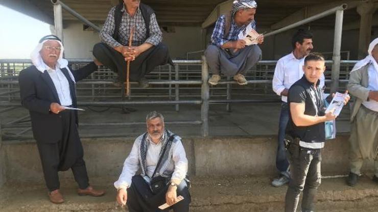 Kurban satıcılarına uygulamalı sahtecilik uyarısı