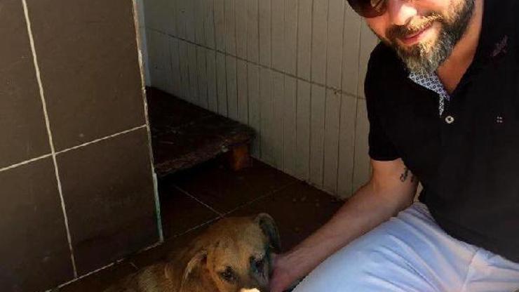 Köpeğe işkence yapıp, vücuduna kesici alet ile it yazdılar