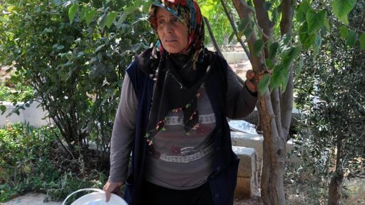 Reyhanlıda mezarlığı tahrip etmişler