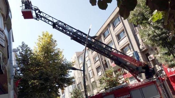 Çatıda mahsur kalan güvercini itfaiye kurtardı