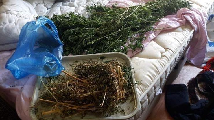 Evdeki 1 kilo esrarı Limit buldu