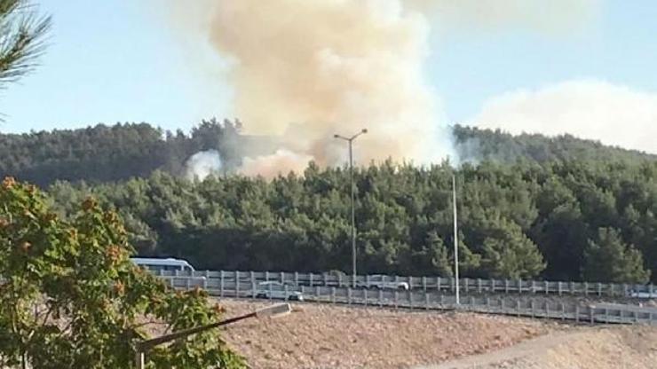 Bucada çıkan orman yangını söndürüldü