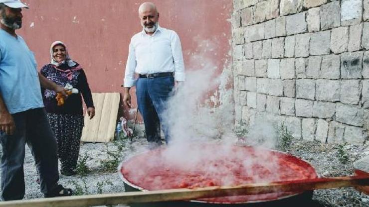 Belediyenin dağıttığı domates fideleri ürün verdi
