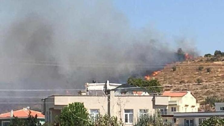 Dikilide otluk ve makilik alanda yangın