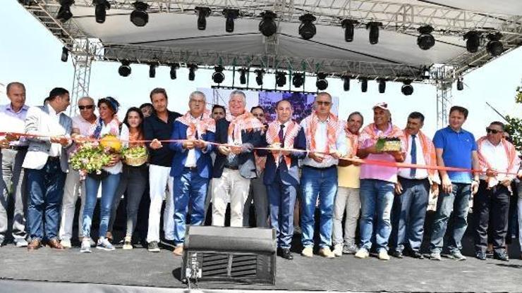Urla Bağ Bozumu Şenliğinde üzüm ezdiler