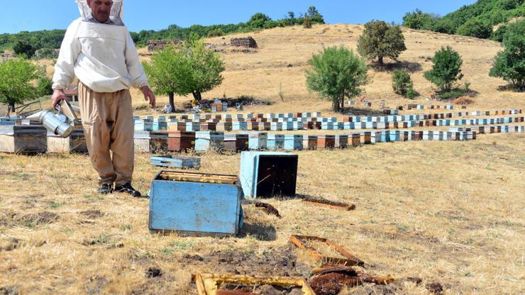 Ödüllü arıcının kovanlarına 2nci saldırı