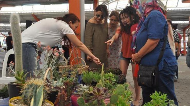 Hobi olarak başladı, kaktüs yetiştirerek ev ekonomisine katkı sağlıyor