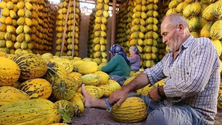 Tadı dünyaya ün salan Kırkağaç kavunları askıda