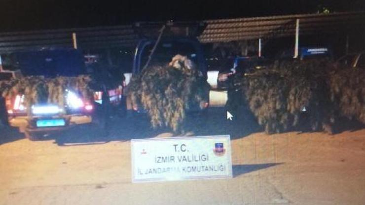 Kirazda uyuşturucuya 1 tutuklama